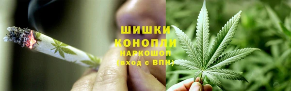 дмт Арсеньев