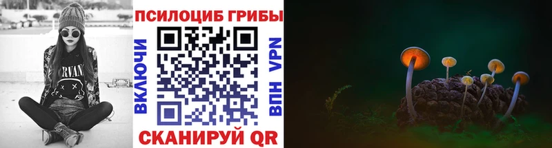 KRAKEN ссылки  Сысерть  Псилоцибиновые грибы MAGIC MUSHROOMS  наркотики 